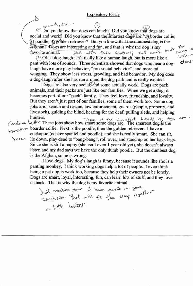 Argument essay introduction