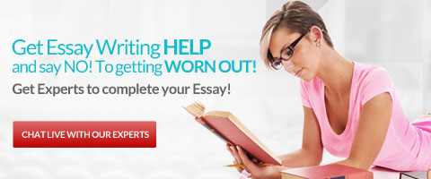 Custom essay