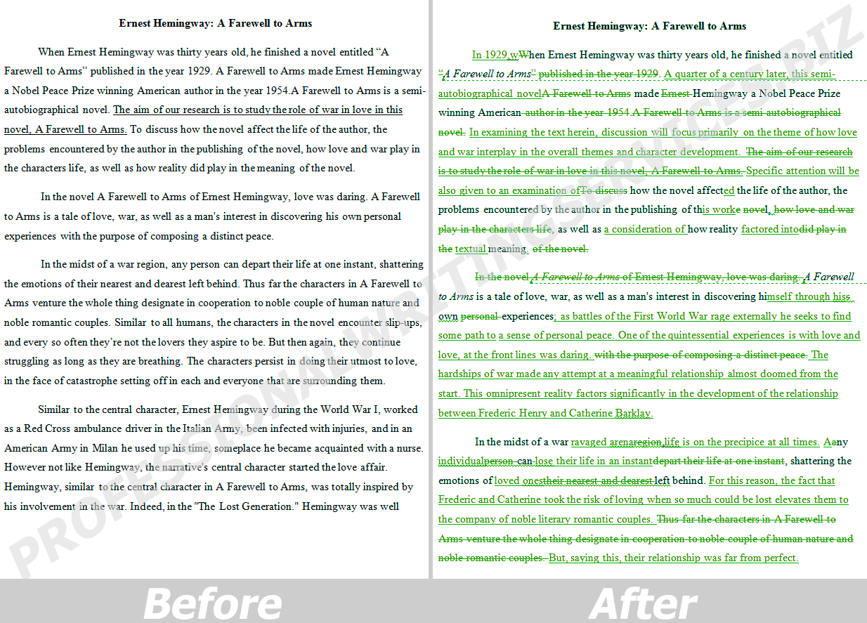 Professional essays